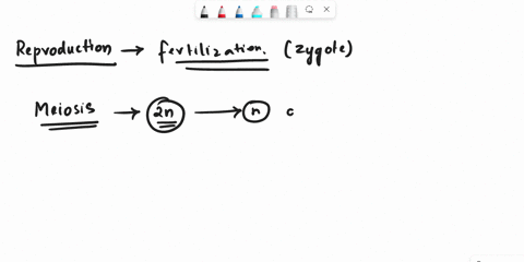 how-does-meiosis-and-fertilization-contribute-to-the-staggering-diversity-and-evolution-of-sexually-reproducing-organisms-61192