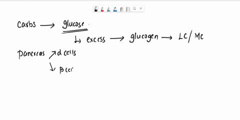 when-blood-sugar-is-low-a-the-liver-creates-insulin-b-glycogen-is-broken-down-in-the-pituitary-gland-c-the-pancreas-secretes-glucagon-to-trigger-the-liver-to-release-stored-glucose-d-the-pan-27938