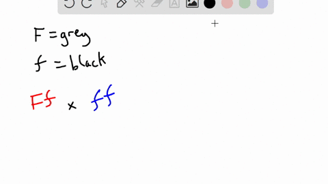 guys-please-help-me-in-this-question-38945