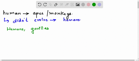 of-we-humans-did-evolved-from-apes-or-monkeys-why-apes-or-monkeys-still-didnt-evolve-into-humans-nowadays-32504