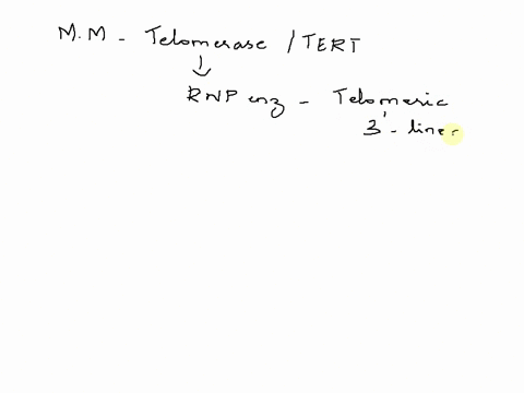 what-type-of-macromolecule-is-tert-or-telomerase-51697