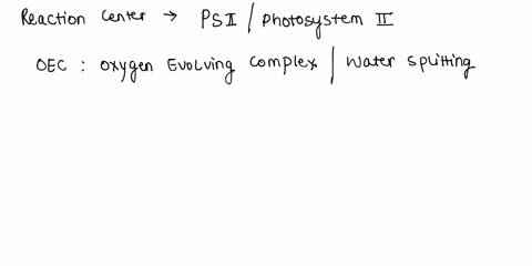 in-photosystem-il-excited-electrons-are-transferred-to-a-molecule-called-pheophytin-and-the-etc-of-photosystem-ii-as-electrons-are-excited-out-of-the-reaction-center-they-are-replaced-during-63219