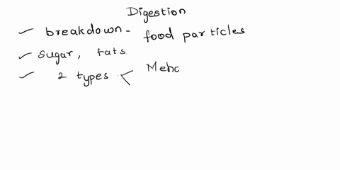 which-organs-perform-both-mechanical-digestion-and-chemical-digestion-of-food-14246