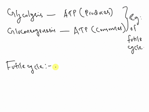 glycolysis-produces-atp-and-gluconeogenesis-consumes-atp-both-are-operational-at-the-same-time-there-is-no-nct-cncrgy-change-atp-produced-in-one-pathway-consumed-in-thc-other-results-in-nct-62218