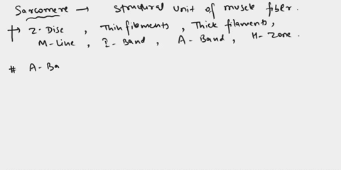 3-the-myosin-myofilament-can-be-cleaved-into-a-head-and-a-tail-piece-all-of-the-following-are-accurate-in-descibing-the-position-of-myosin-in-a-sarcomere-except-ia-band-is-the-length-of-myos-57323