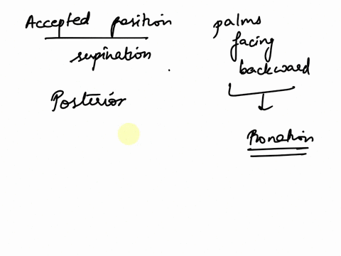 activity-11-using-anatomical-terms-to-describe-body-organization-the-standd-anatomical-language-tha-i-ued-to-decribe-that-rganiationmot-namical-nam-ae-deived-from-latin-or-greek-words-and-ha-78758