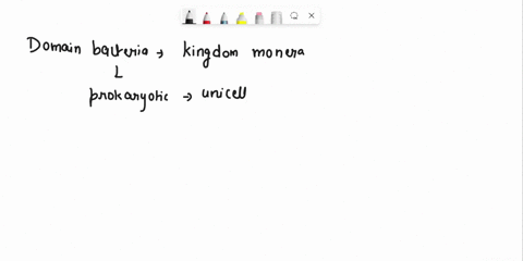 domain-bactera-in-the-domain-bacteria-which-kingdom-ofliving-organisms-are-represented-characteristic-of-members-of-the-domain-bacteria-name-features-that-are-the-cell-wall-is-an-important-c-34246