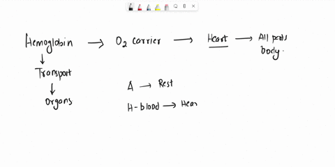 while-a-runner-rests-before-a-race-the-hemoglobin-in-the-blood-returning-to-her-heart-is-75-saturated-with-02-that-is-the-blood-is-carrying-about-75-of-the-maximum-possible-capacity-to-carry-44531