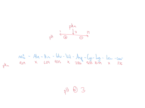 for-the-peptide-ala-his-glu-val-asp-cys-lys-leu-what-is-the-net-charge-at-ph-3-please-explain-how-you-get-the-charge-of-each-amino-acid-75499