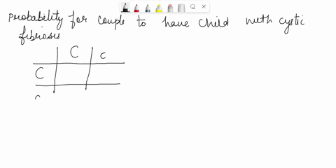cystic-fibrosis-is-an-autosomal-recessive-genetic-disorder-resulting-from-the-absence-of-a-functional-transmembrane-conductance-regulator-cftr-protein-a-woman-whose-older-sister-has-a-son-wi-13719