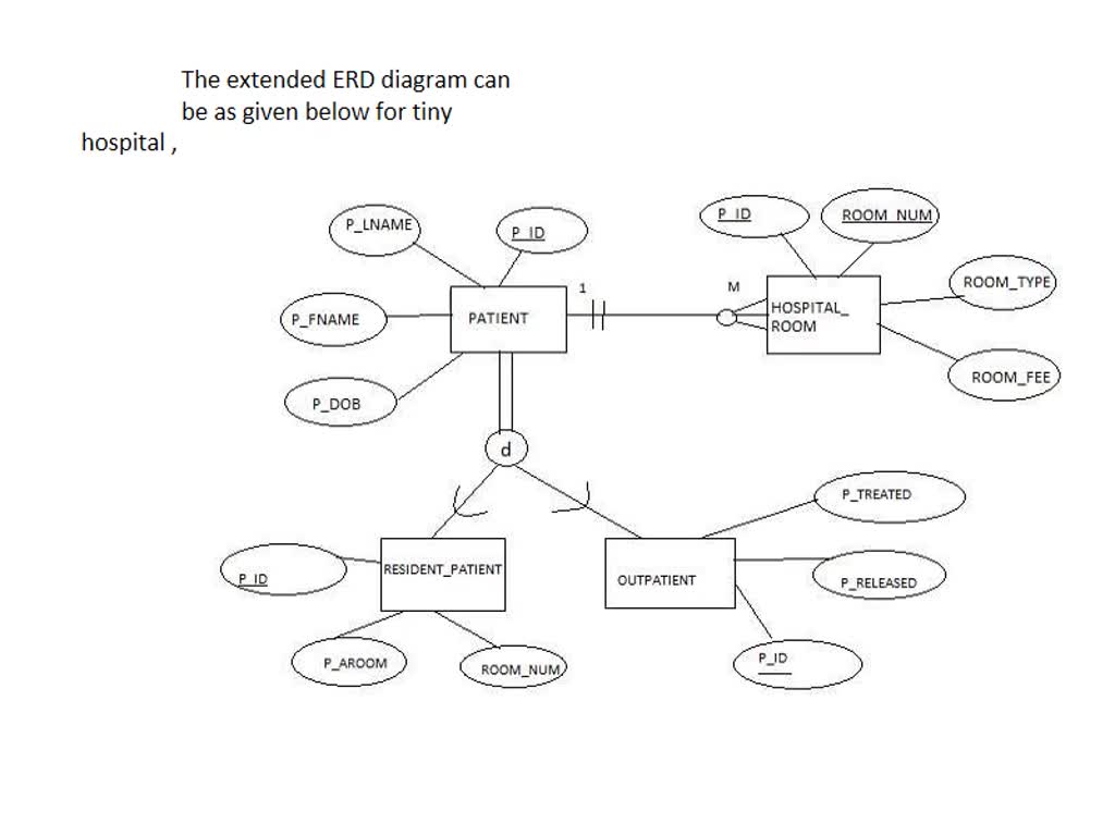 SOLVED Given The Following Business Scenario Create A Crow S Foot ERD