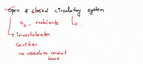which-of-the-following-is-not-a-true-statement-about-open-and-closed-circulatory-systems-a-both-sy-2-53326
