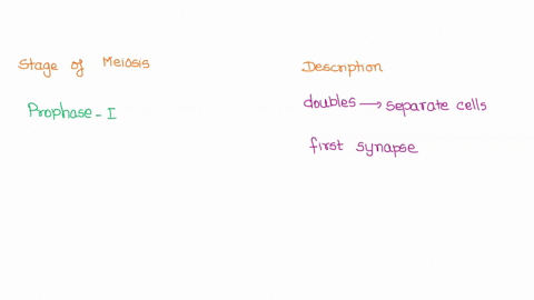 indicate-the-slage-of-meiosis-e-metaphase-2-m2-prophase-1-p1-anaphase-2-a2-etc-which-each-of-the-following-events-occurs_-irtcell-stage-in-which-the-original-maternal-paternal-chromatid-doub-03758