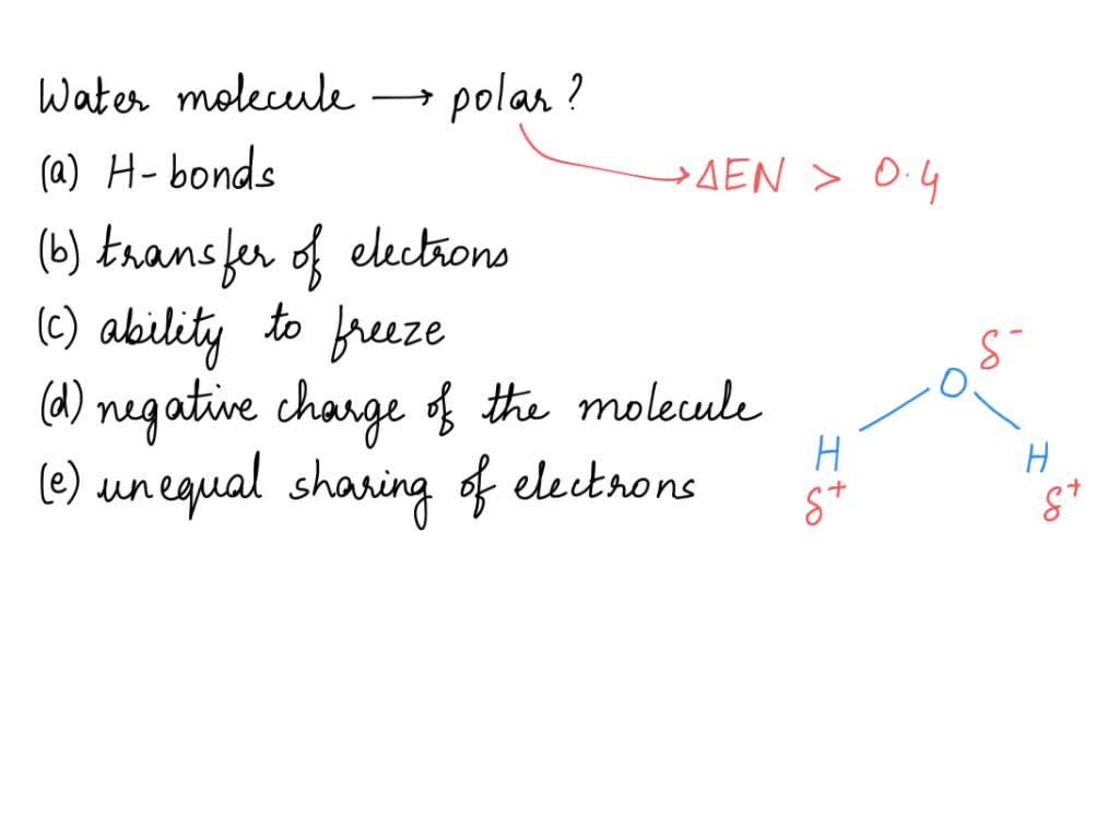 SOLVED 1point water molecule, as shown here, IS polar because of H H hydrogen bonds. (he