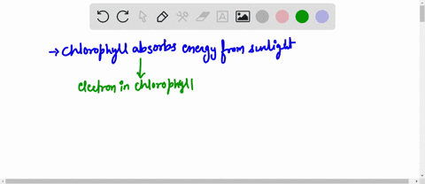 when-a-chlorophyll-molecule-absorbs-light-select-one-the-electron-is-boosted-to-an-excited-state-the-energy-is-released-as-heat-resonance-energy-transfer-occurs-fluorescence-occurs-the-elect-55111