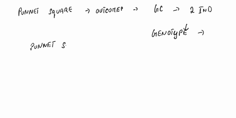 in-the-chart-below-indkate-the-four-possible-genotypes-of-the-baby-dragons-produced-by-this-father-and-mother-and-draw-the-phenotype-for-each-genotype-genotype-phenotype-genotype-phenotype-5-53905