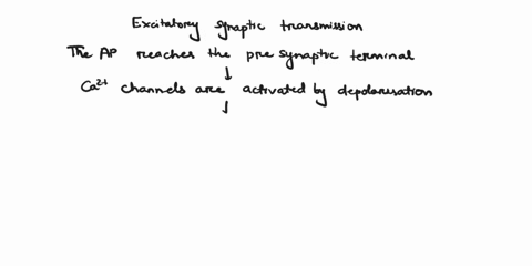 what-is-the-correct-sequence-of-events-during-an-excitatory-synaptic-transmission-at-the-chemical-synapse1-the-ap-reaches-the-presynaptic-terminal-2-the-neurotransmitter-nt-diffuses-across-t-52517