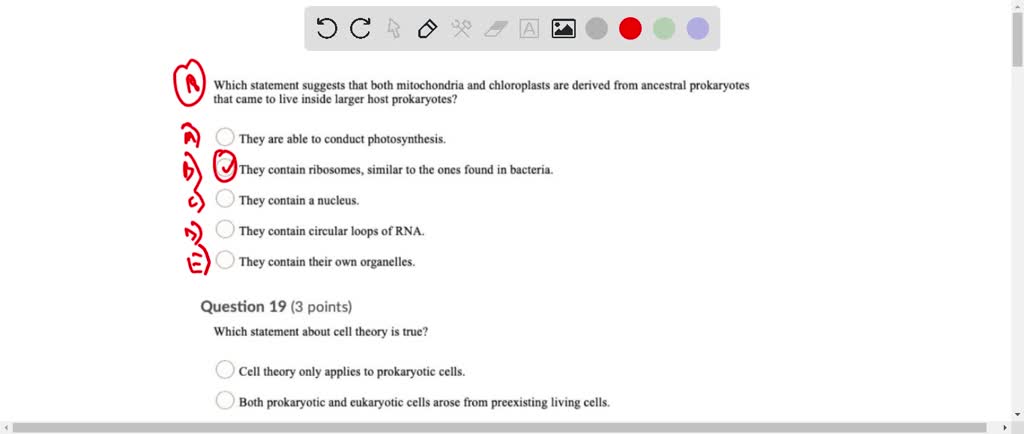 Select All Of The True Statements Regarding Mitochondria. SOLVED: Select all of the true statements concerning the prokaryotic