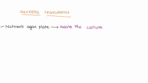 you-transferred-your-serratia-marcesens-culture-to-a-nutrient-broth-a-tryptic-soy-agar-slant-and-a-nutrient-agar-plate-which-of-these-three-media-is-most-likely-to-show-if-you-still-have-a-p-63046