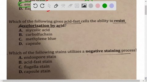 which-of-the-following-staining-procedures-requires-heating-a-capsule-stain-gram-stain-c-endospore-stain-d-flagella-stain-which-of-the-following-gives-acid-fast-cells-the-ability-toresist_-d-40817
