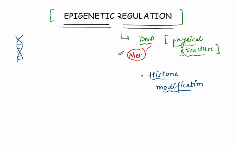 which-of-the-following-statements-about-epigenetic-regulation-is-false-a-histone-protein-charge-beco-18123