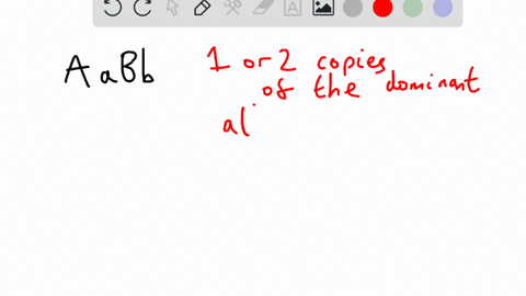 in-a-certain-plant-allele-a-is-completely-dominant-to-allele-a-and-allele-b-is-completely-dominant-to-allele-b-which-of-the-following-plants-will-have-the-same-phenotype-as-a-plant-with-the-18312
