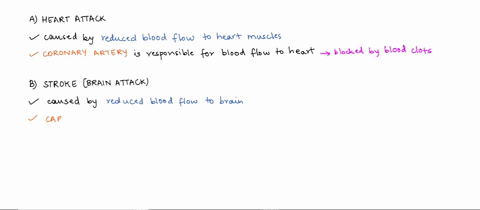 which-of-the-following-can-be-caused-by-a-blood-clot-a-heart-attack-b-stroke-c-lung-embolism-d-deep-55627