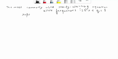 which-of-the-following-hardy-weinberg-equations-is-most-commonly-used-to-determine-allele-frequencies-a-p2-q2-1-b-p-q-1-c-p2-2pq-q2-1-d-p-2pq-q-1-40246