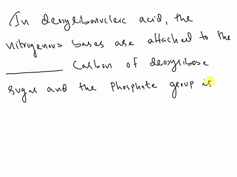 in-deoxyribonucleic-acid-the-nitrogenous-bases-are-attached-to-the-____-carbon-of-the-deoxyribose-sugar-and-the-phosphate-group-is-attached-to-the-_____-carbon-of-the-deoxyribose-sugar-a-___-76336