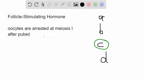 1-follicle-stimulating-hormone-fsh-stimulates-the-growth-of-a-follicle-in-the-ovary-a-process-that-occurs-__________-a-between-birth-and-puberty-b-between-fertilization-and-birth-c-between-p-32398