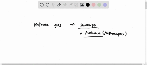 question-3-of-9-why-is-methane-gas-commonly-produced-in-swamps-decomposers-respire-anaerobically-and-release-methane-when-bottom-sediments-dry-out_-carbon-dioxide-and-water-combine-to-form-m-71578