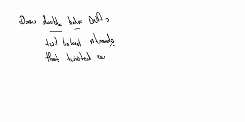 replication-vorksheet-i-comoatbilt-hodel-microsomt-h-ord-home-insert-design-page-layout-rfffrfnce5-mailings-revin-lamin-schrsh-h0-find-replace-times-ne-aabbccl-aabbc-aabbccl-a-bbcc-labbccd-a-62372