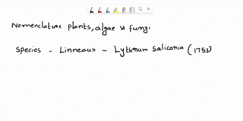 following-the-basic-rules-of-nomenclature-for-plants-algae-and-fungi-answer-the-following-a-what-would-be-the-correct-scientific-name-for-a-species-described-and-named-by-linnaeus-as-lythrum-06338