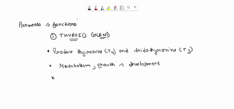 what-hormones-are-produced-by-the-thyroid-and-parathyroid-glands-explain-the-function-of-each-67233