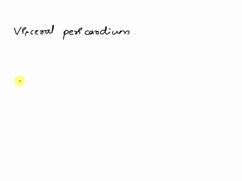 question-6-visceral-pericardium-is-located-a-on-the-heart-itself-b-lining-the-pleural-cavity-lining-the-pericardial-cavity-d-on-the-lung-itself-e-lining-the-peritoneal-cavity-98616