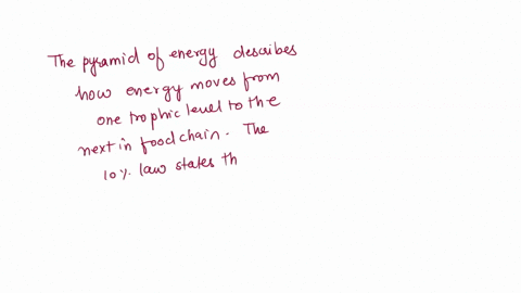 abc-ocean-food-web-a-food-web-represents-the-feeding-relationships-and-the-transfer-of-energy-in-an-ecosystem-a-food-web-consists-of-many-food-chains-the-models-show-an-ocean-food-web-and-th-72494