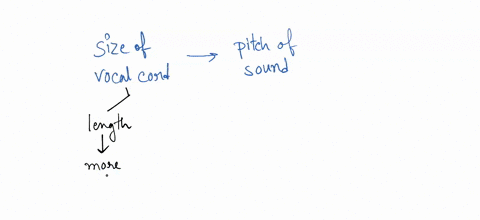 4-compare-long-vocal-cords-to-short-vocal-cords-in-terms-of-the-voice-pitch-they-produce-5-infer-what-happens-when-an-individuals-trachea-collapses-6-explain-the-purpose-of-the-epiglottis-de-95215