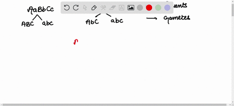 what-is-the-probability-that-a-cross-between-genotypes-aabbcc-and-aabbcc-will-produce-a-completely-homozygous-recessive-individual-aabbcc-question-options-a-116-b-132-c-164-d-1256-05045