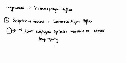 put-the-steps-into-the-correct-order-to-trace-the-progression-of-gastroesophageal-reflux-disease-gerd-1-lower-esophageal-sphincter-is-weakened-or-relaxes-inappropriately-2-food-liquid-and-ga-56231