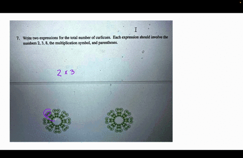 write-two-expressions-for-the-total-number-of-curlicues-each-expression-should-involve-the-numbers-23-the-multiplication-symbol-and-parentheses-63007