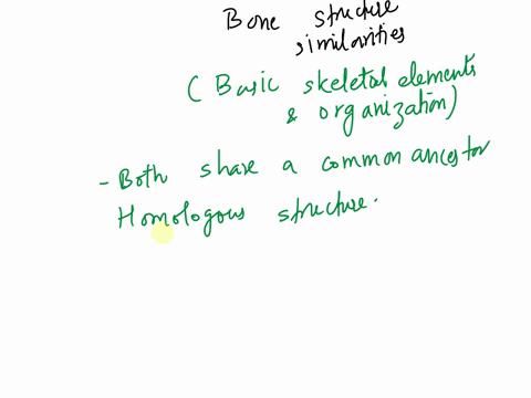 do-bats-have-a-similar-bone-structure-to-humans-if-so-what-is-this-an-example-of-54773