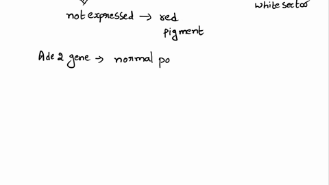 carefully-consider-the-result-shown-in-figure-q5-13-each-of-the-two-colonies-shown-on-the-left-is-a-04558
