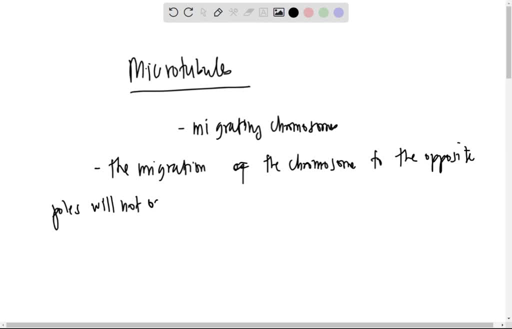 solved-the-following-drawing-shows-the-cell-division-of-a-plant-cell