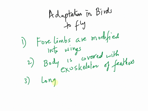 describe-various-adaptation-for-flight-on-birds-and-other-animals-that-fly-41762