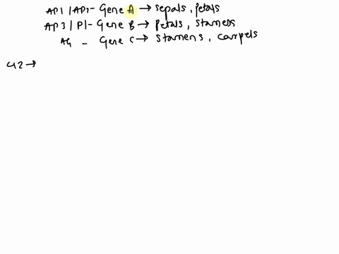colrd-bhnarthor-hhoch-ahich-each-indiceiedoane-e4nt-eaal-aplana-emz-3-two-carpeish-using-the-data-in-the-diagram-above_-and-vour-knowledge-of-the-abc-model-what-pattem-ol-organs-predicted-fo-86521