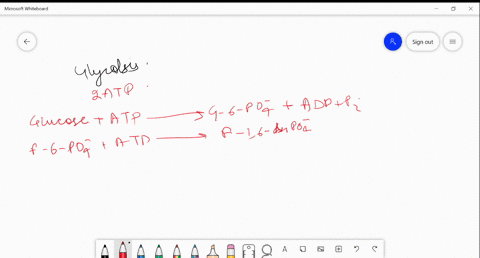 in-glycolysis-for-each-molecule-of-glucose-oxidized-to-pyruvate-select-one-a-two-molecules-of-atp-are-used-and-four-molecules-of-atp-are-produced_-four-molecules-of-_-atp-are-used-and-two-mo-29464