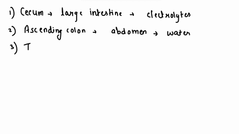 cecum-rectum-ascending-colon-transverse-coln-sigmoid-colon-ileum-doscending-colon-canal-68017