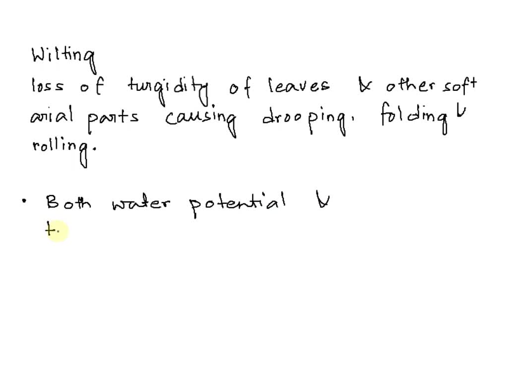 SOLVED PLANT PHYSIOLOGY] In a comparison of the water potential and