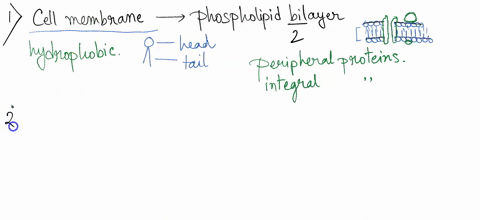 epithelial-cells-in-the-kidney-reabsorb-urine-in-kidney-tubule-glucose-from-urine-and-return-it-to-the-low-glc-high-na-bloodstream-in-a-manner-very-similar-to-what-happens-in-the-intestine-d-04393