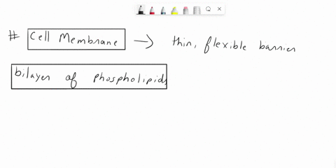 describe-the-structure-of-membrane-name-any-four-cell-organelles-which-are-enclosed-by-cell-membrane-93654